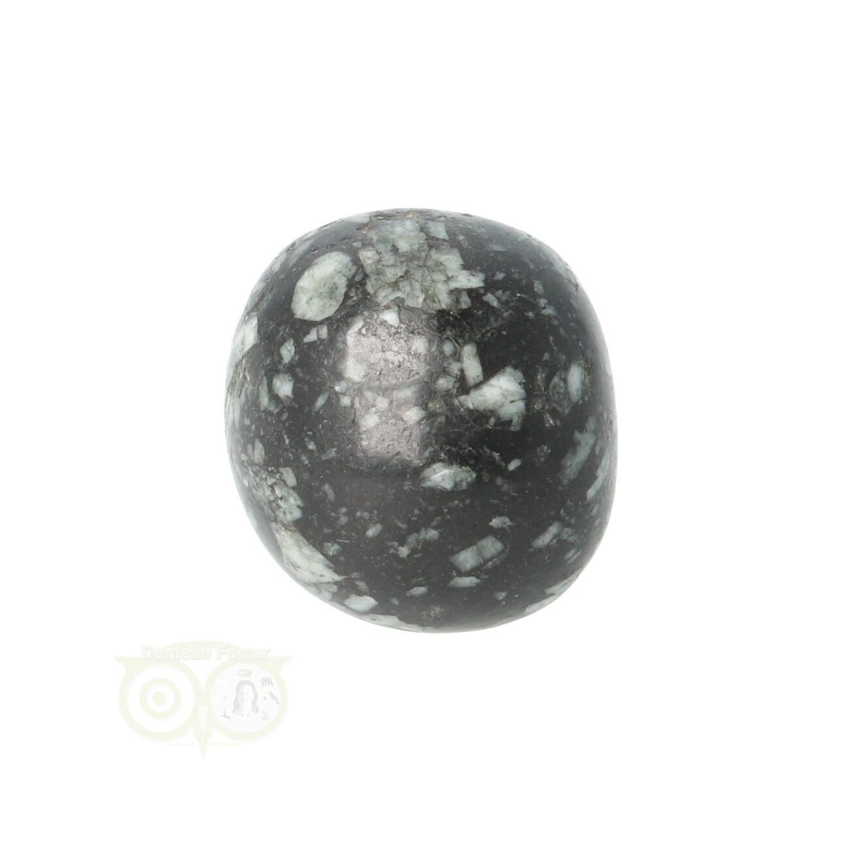 Chrysanthemum geronde trommelsteen nr 20