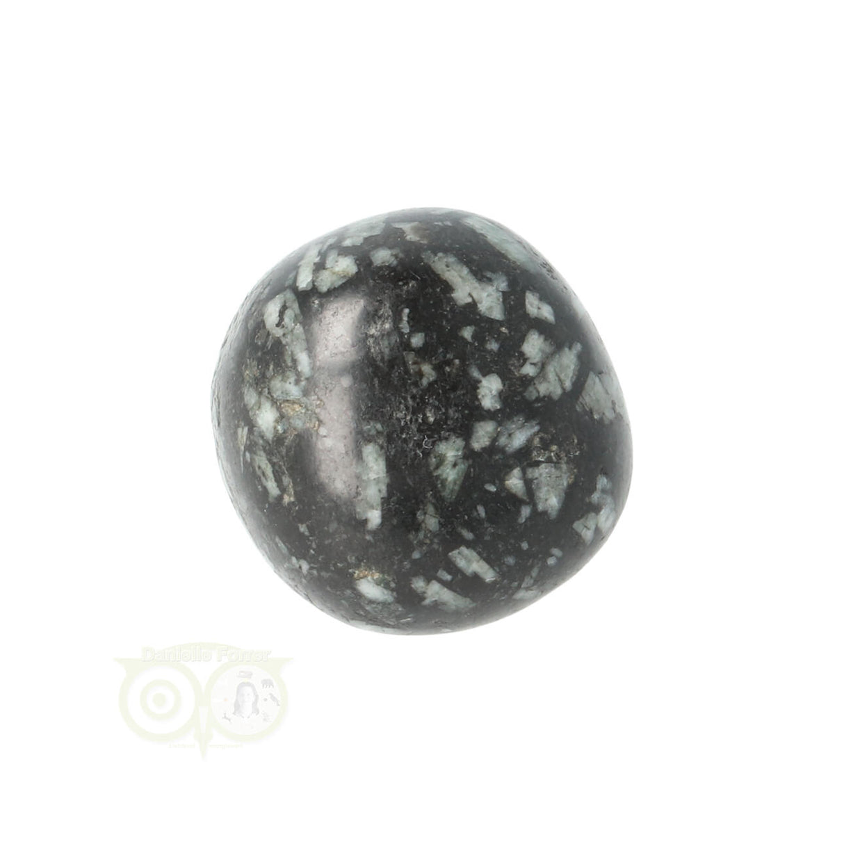 Chrysanthemum geronde trommelsteen nr 20