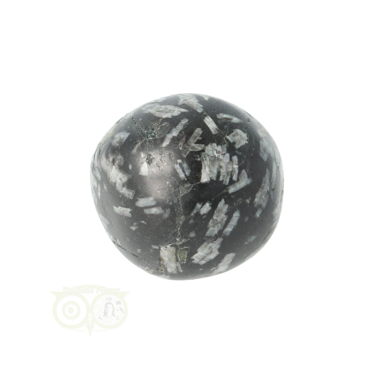 Chrysanthemum geronde trommelsteen nr 21