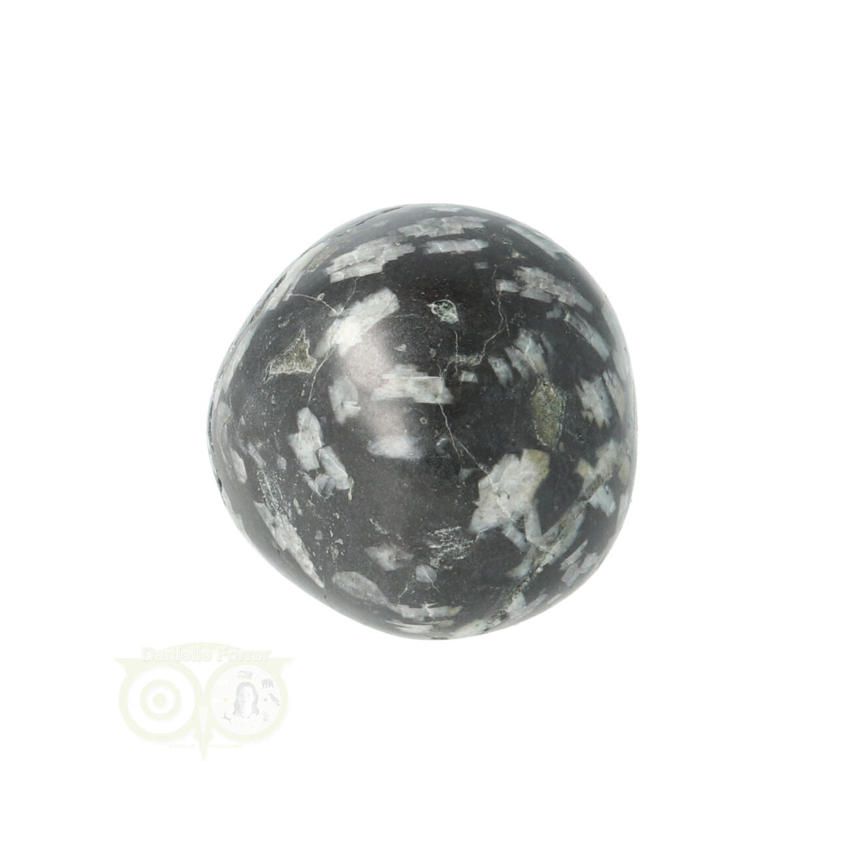 Chrysanthemum geronde trommelsteen nr 21