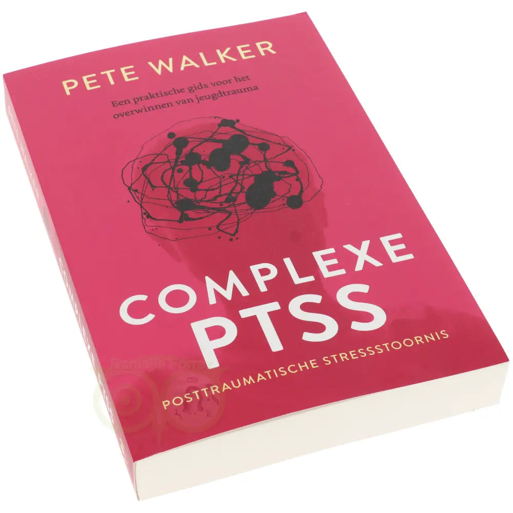 Complexe PTSS - Pete Walker