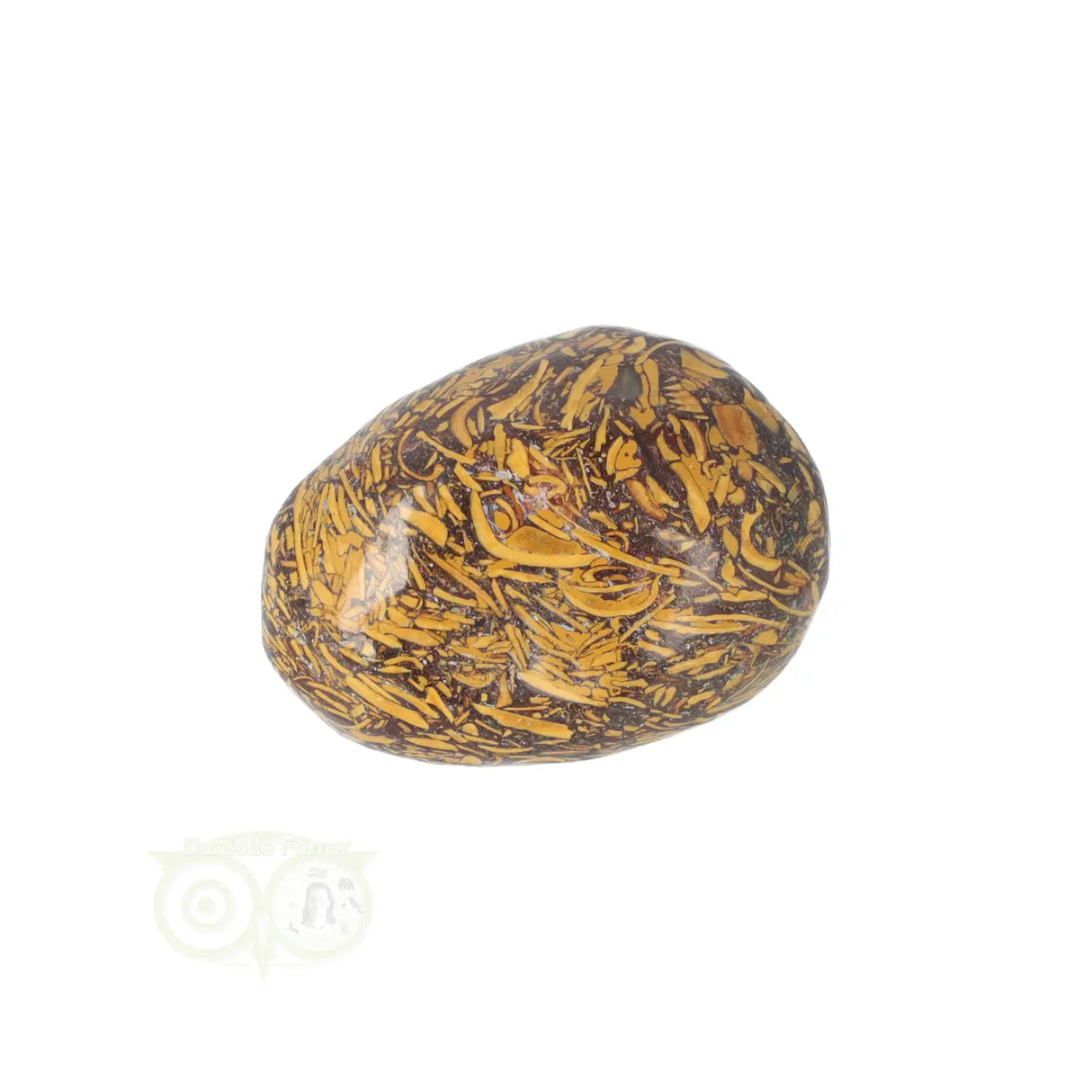 Coquina Jasper tumbled stone No. 15