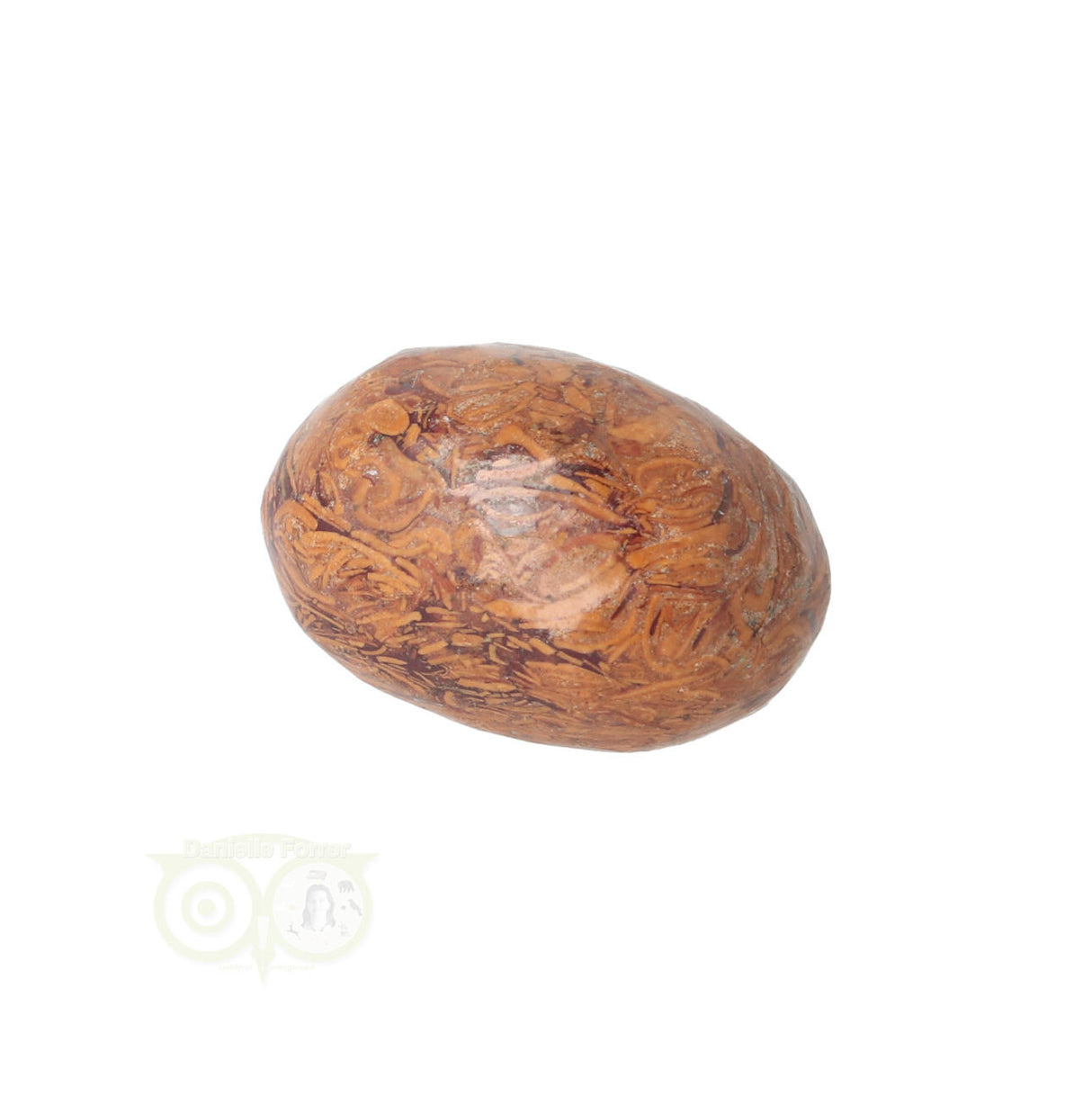Coquina Jasper tumbled stone No. 5