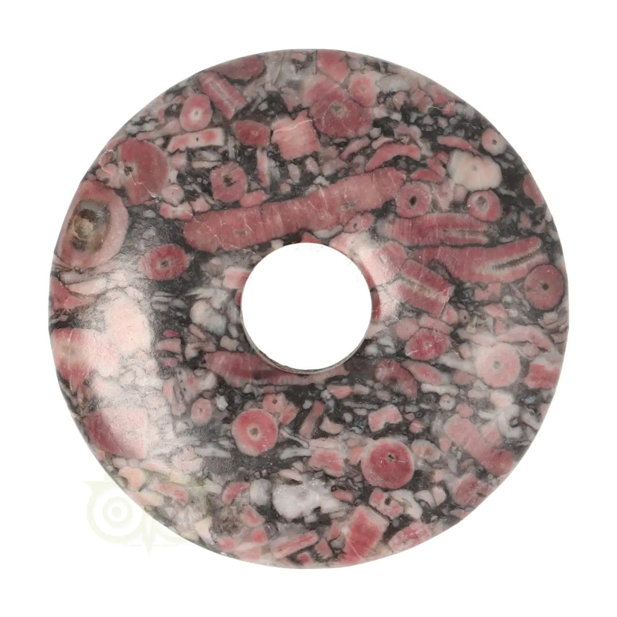 Crinoid Donut-Anhänger Nr. 17 - Ø 4 cm