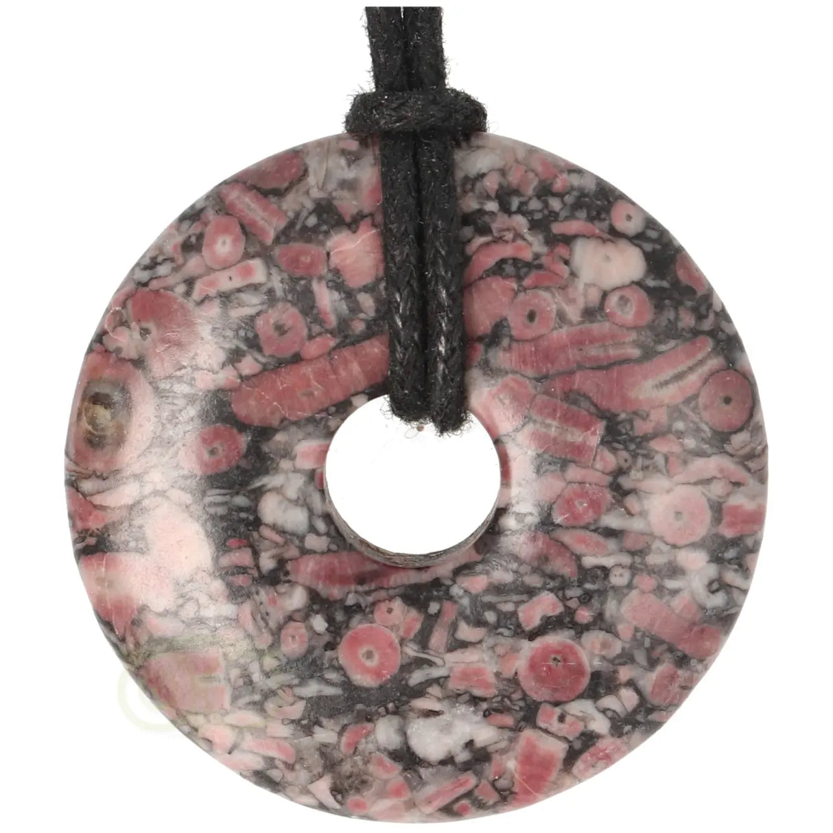 Crinoid Donut-Anhänger Nr. 17 - Ø 4 cm