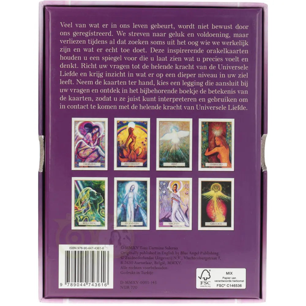 De helende kracht van universele liefde - Toni Carmine Salerno