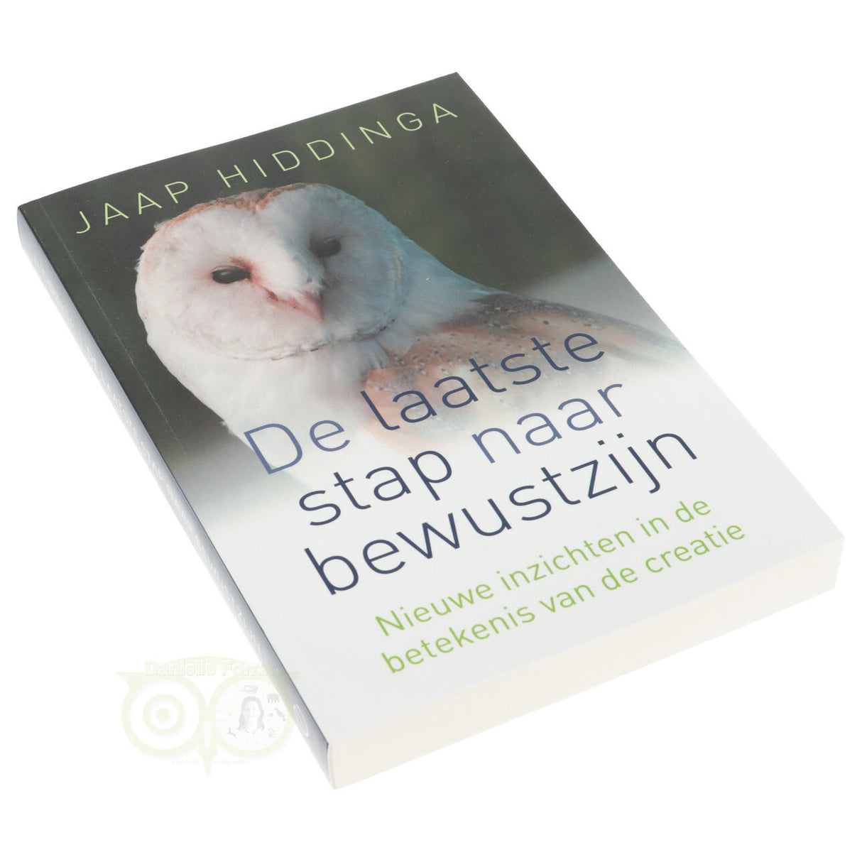 De laatste stap naar bewustzijn - Jaap Hiddinga