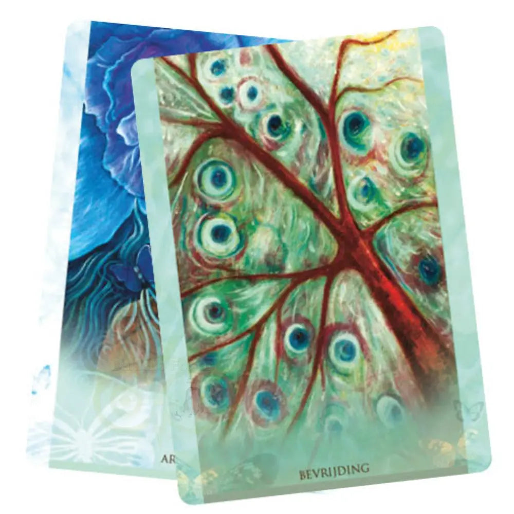 De wijsheid van het universum - Toni Carmine Salerno