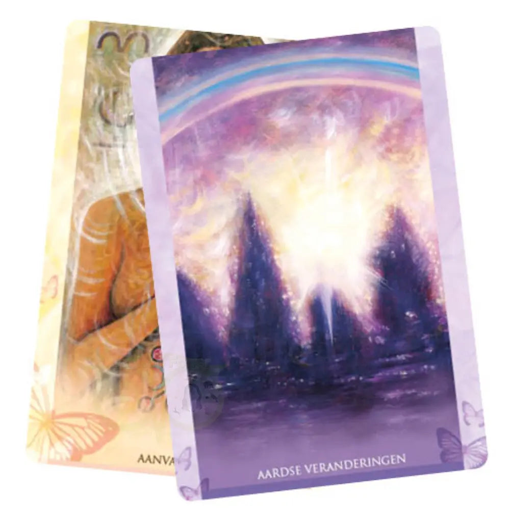 De wijsheid van het universum - Toni Carmine Salerno