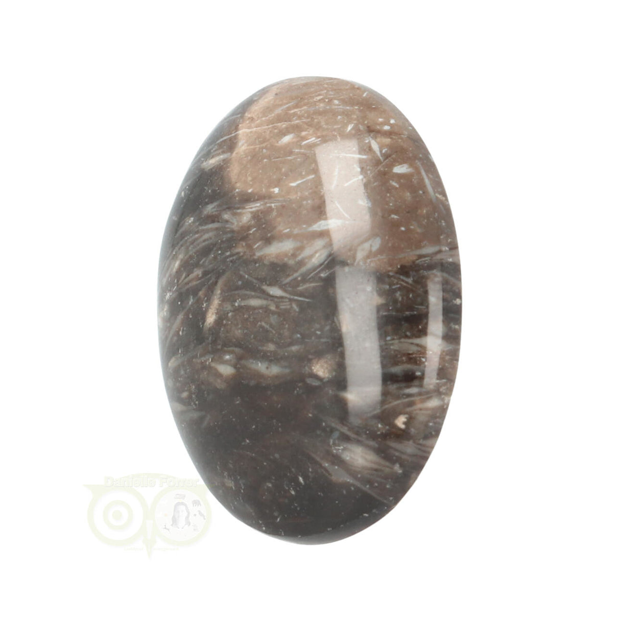 Fossiel Koraal Cabuchon Nr 22