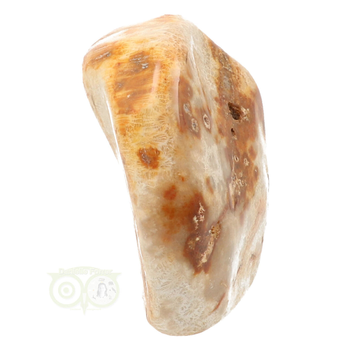 Fossil coral sculpture No. 1 - 683 grams