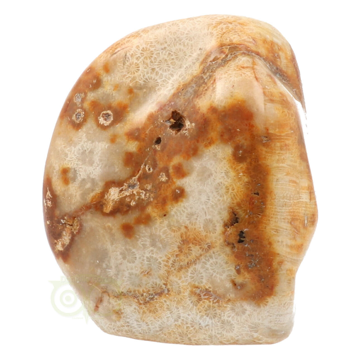 Fossil coral sculpture No. 1 - 683 grams