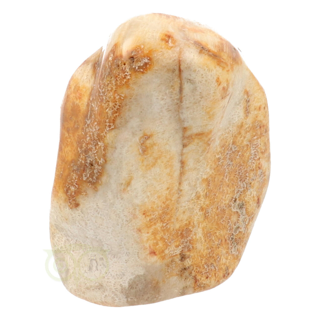 Fossil coral sculpture No. 1 - 683 grams