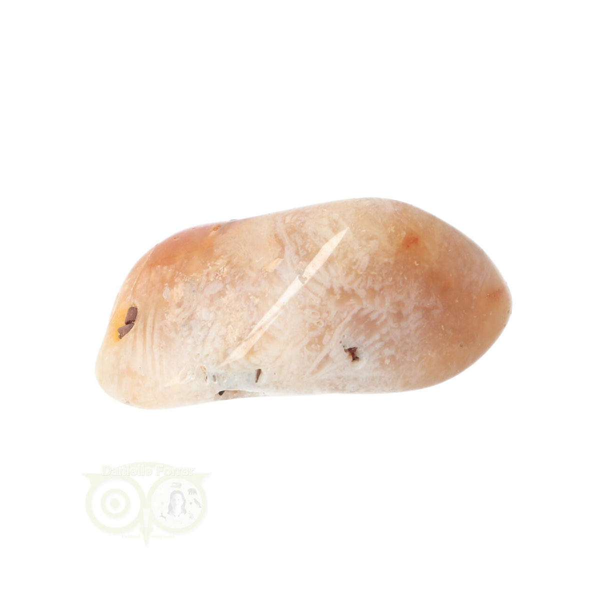 Fossil Coral tumbled stone No. 14