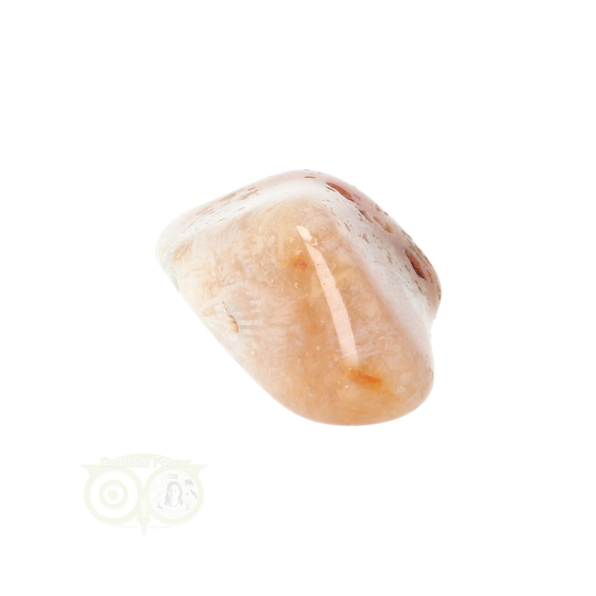 Fossil Coral tumbled stone No. 14