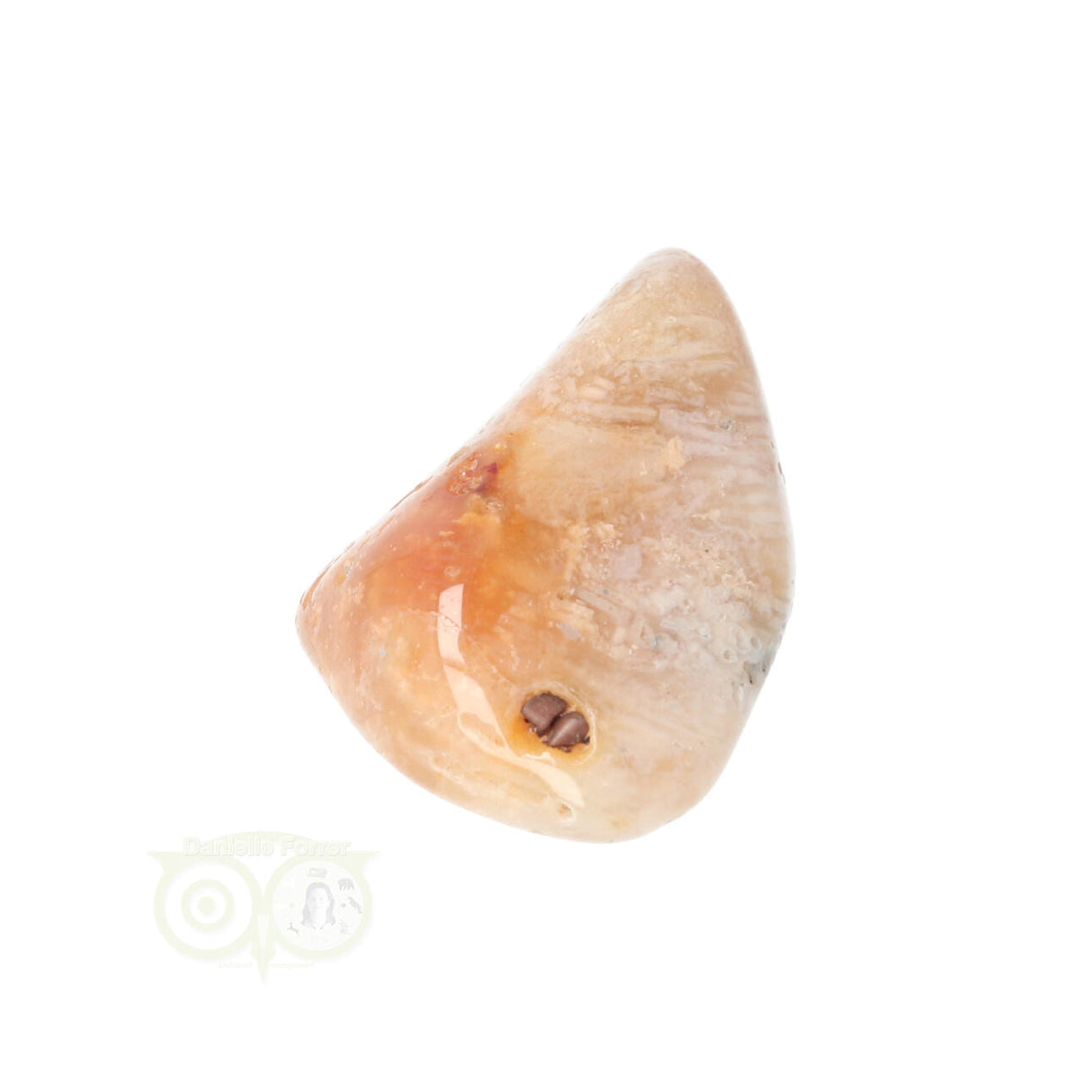 Fossil Coral tumbled stone No. 14