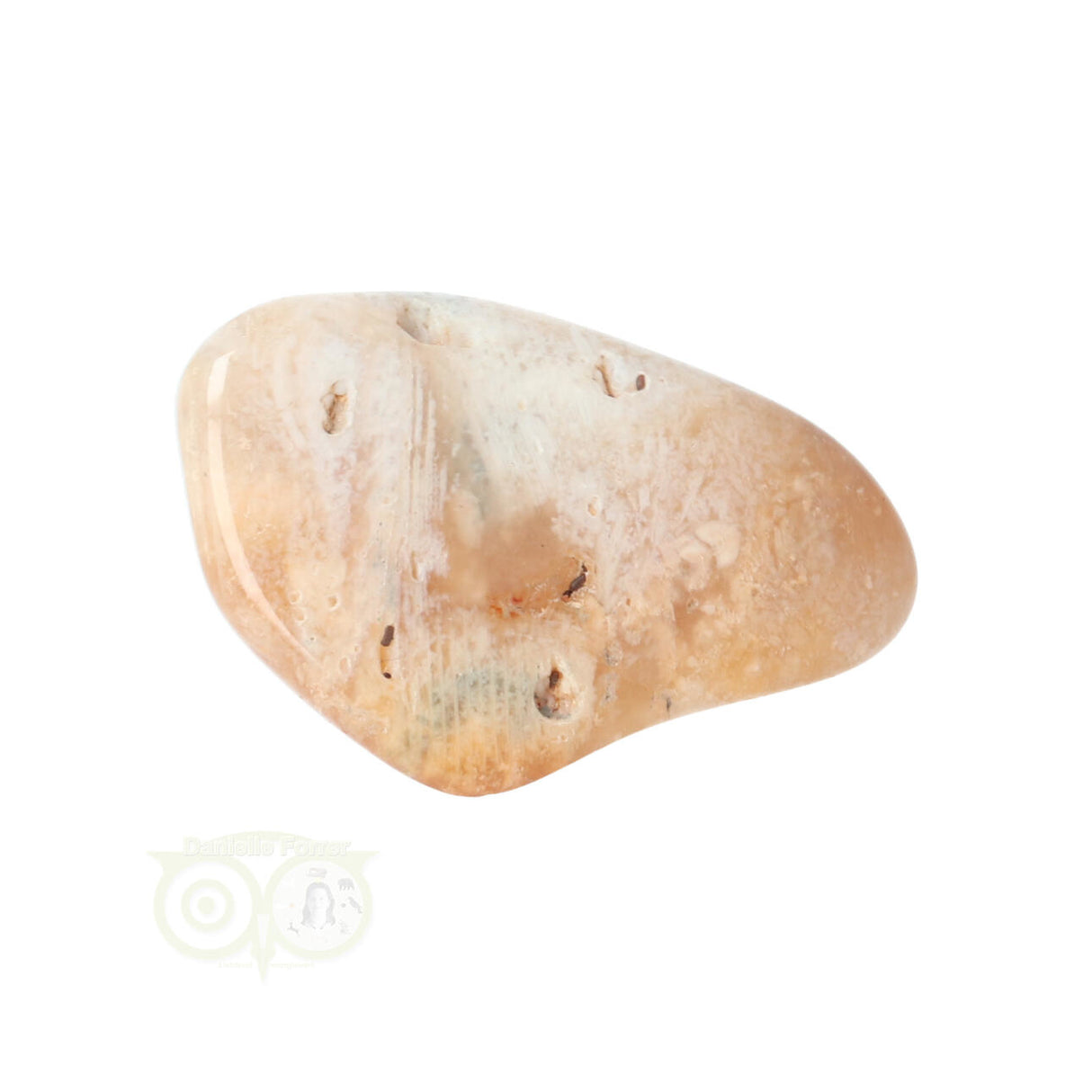 Fossil Coral tumbled stone No. 14