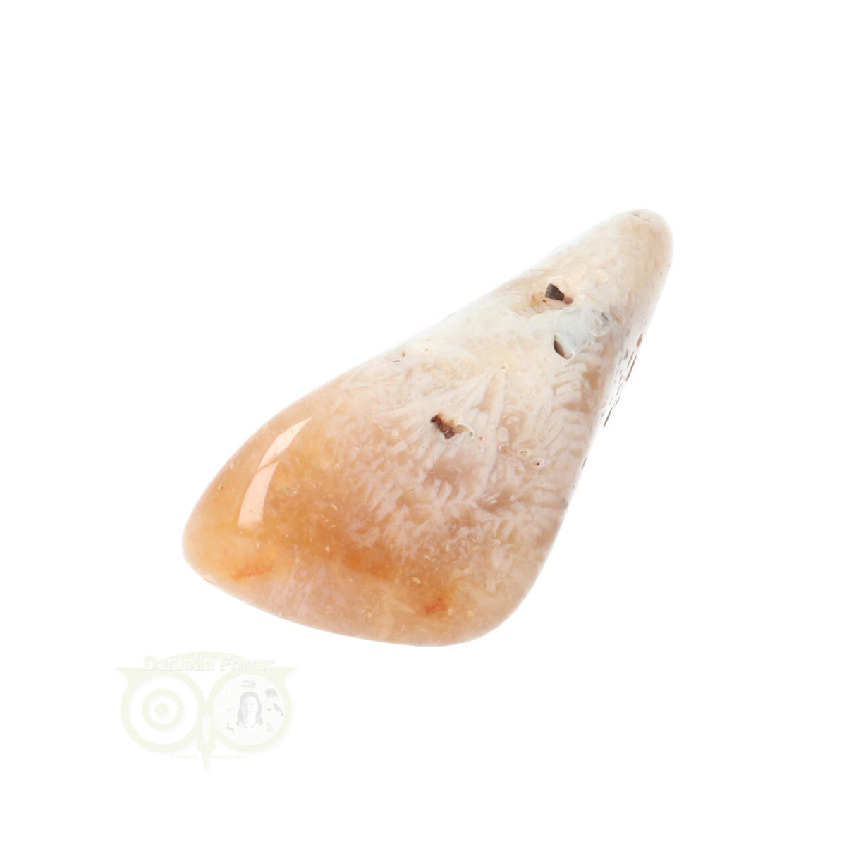 Fossil Coral tumbled stone No. 14