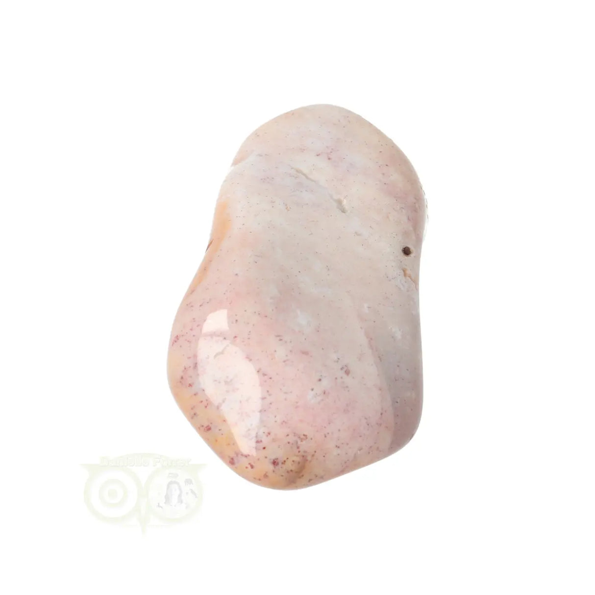 Fossiel Koraal trommelsteen Nr 23