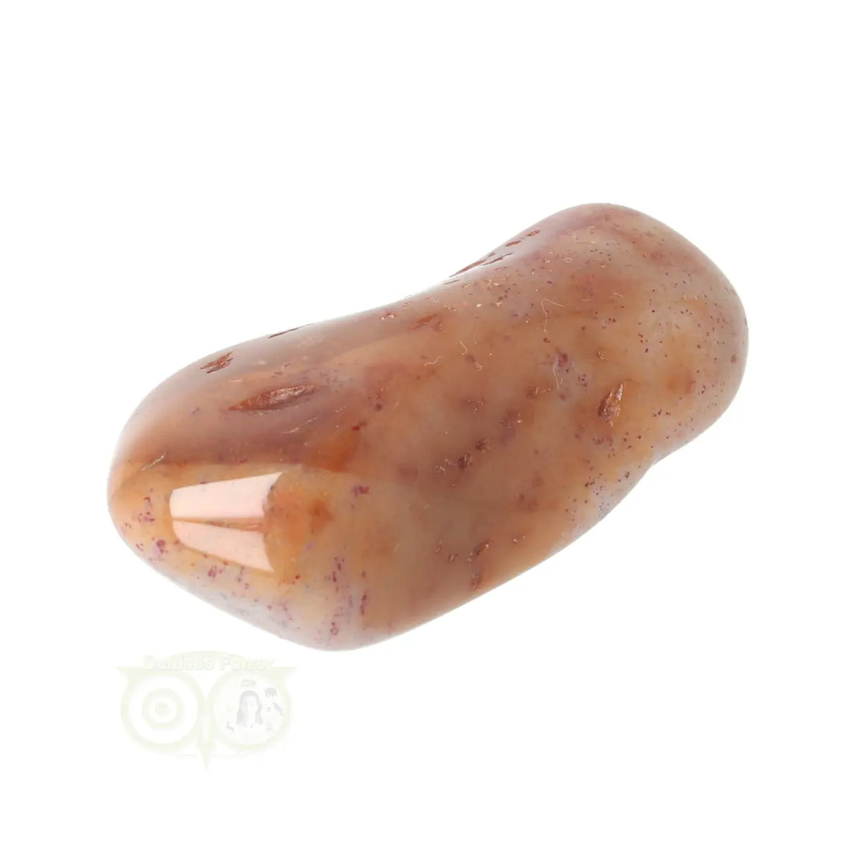 Fossiel Koraal trommelsteen Nr 23