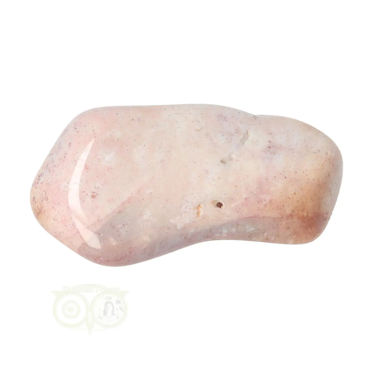 Fossiel Koraal trommelsteen Nr 23