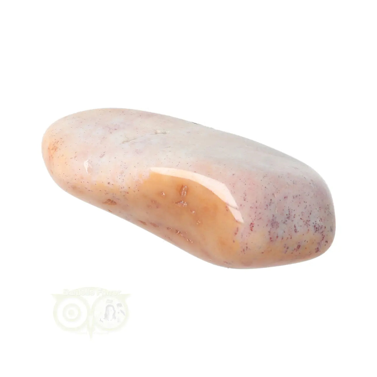 Fossiel Koraal trommelsteen Nr 23