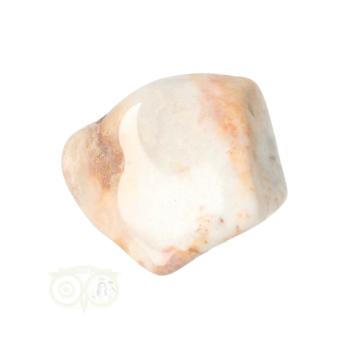 Fossil Coral tumbled stone No. 24