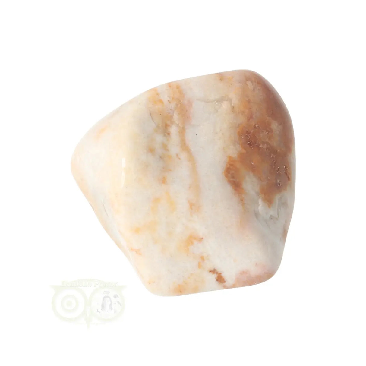 Fossil Coral tumbled stone No. 24