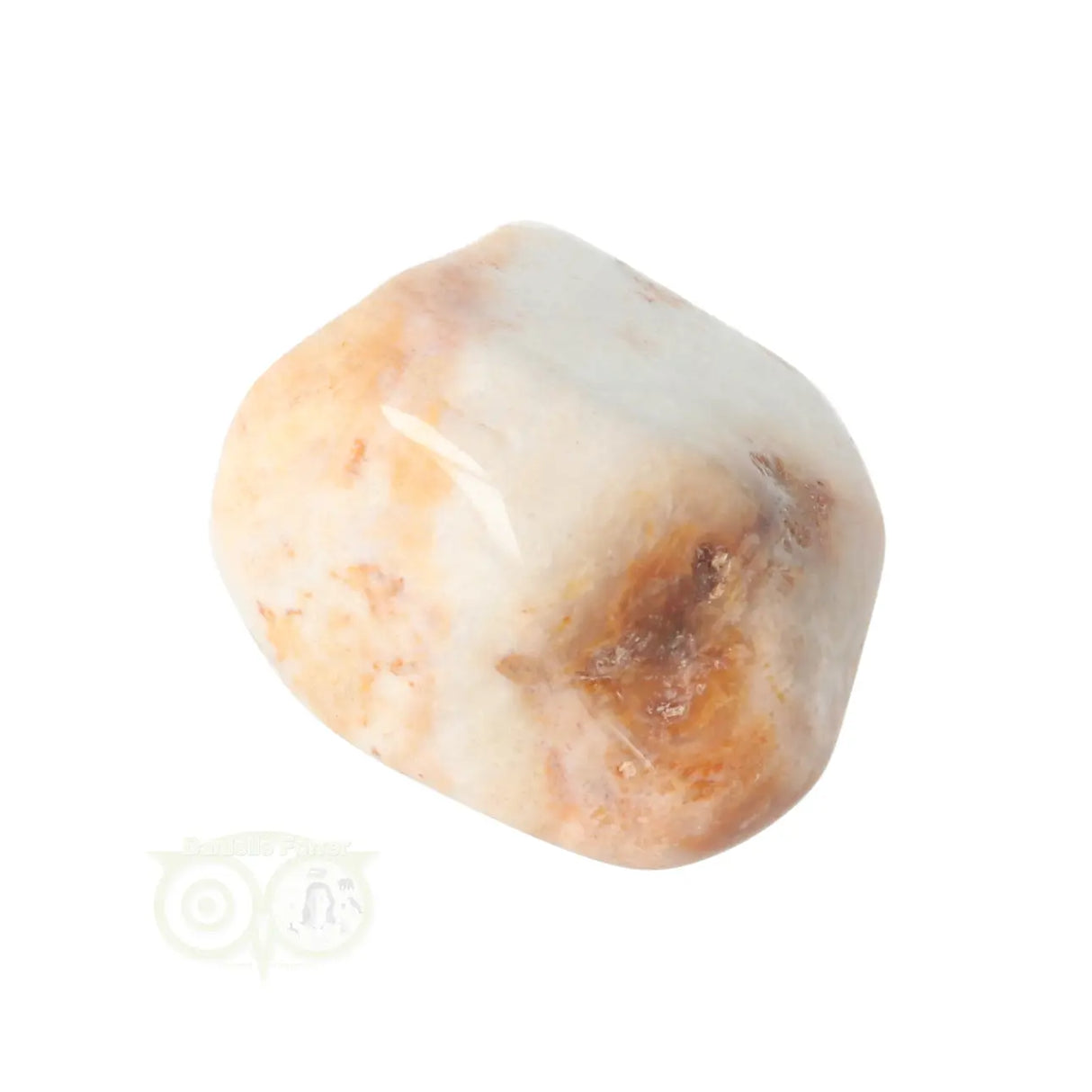 Fossil Coral tumbled stone No. 24