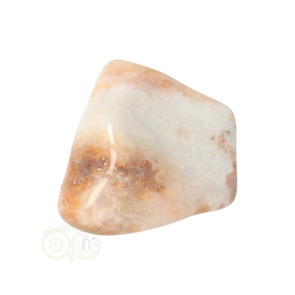 Fossil Coral tumbled stone No. 24