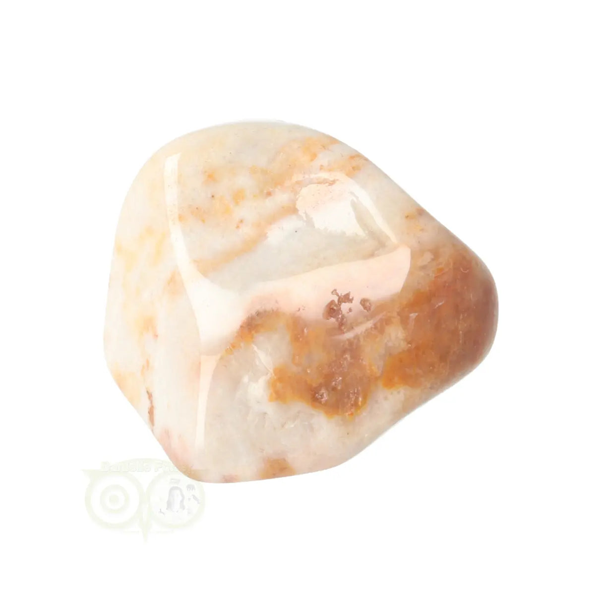 Fossil Coral tumbled stone No. 24