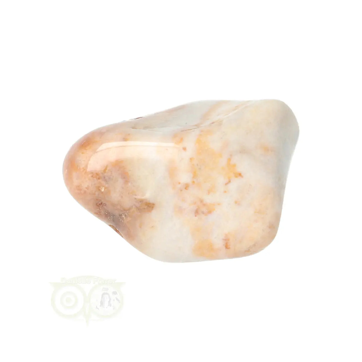 Fossil Coral tumbled stone No. 24