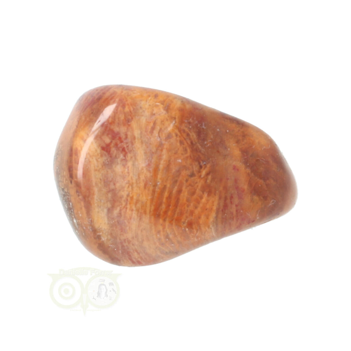 Fossiel Koraal trommelsteen Nr 8