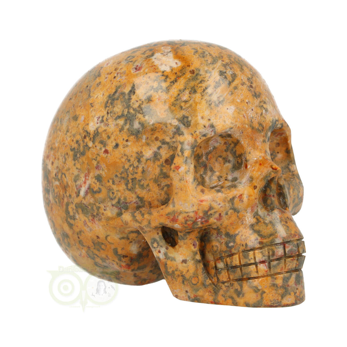 Jasper Breccia Skull 260 grams