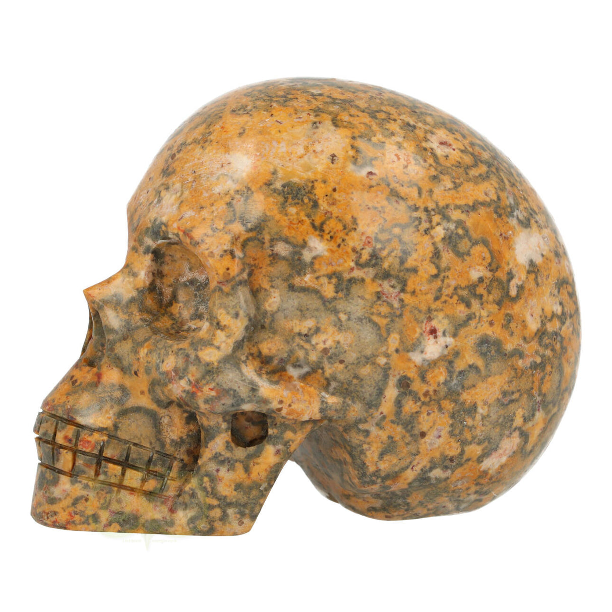 Jasper Breccia Skull 260 grams