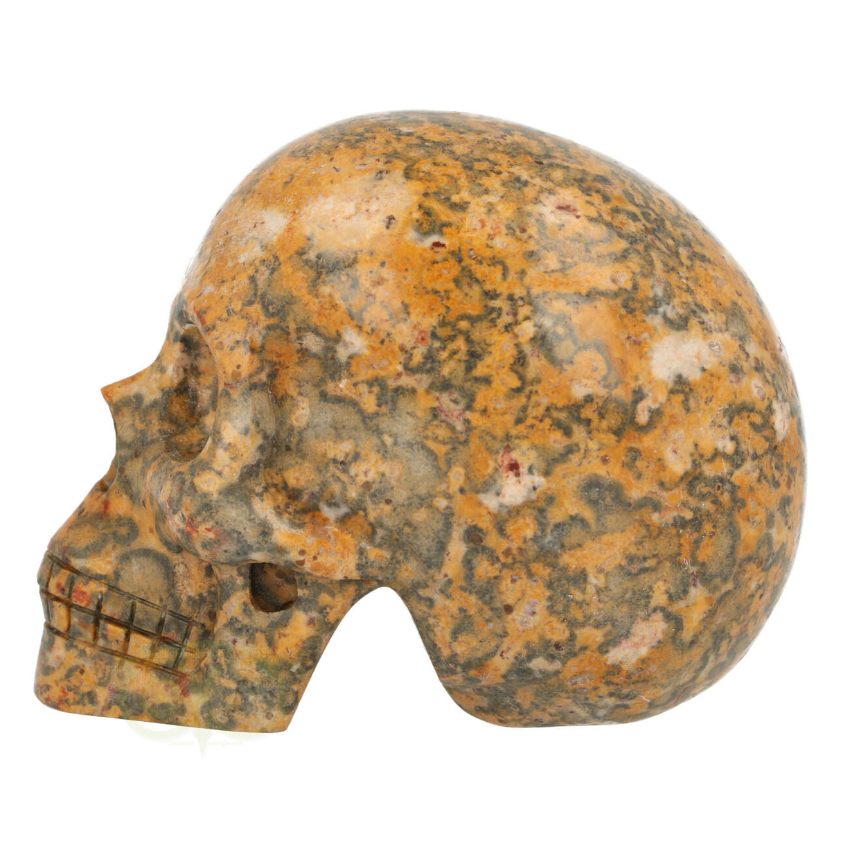 Jasper Breccia Skull 260 grams