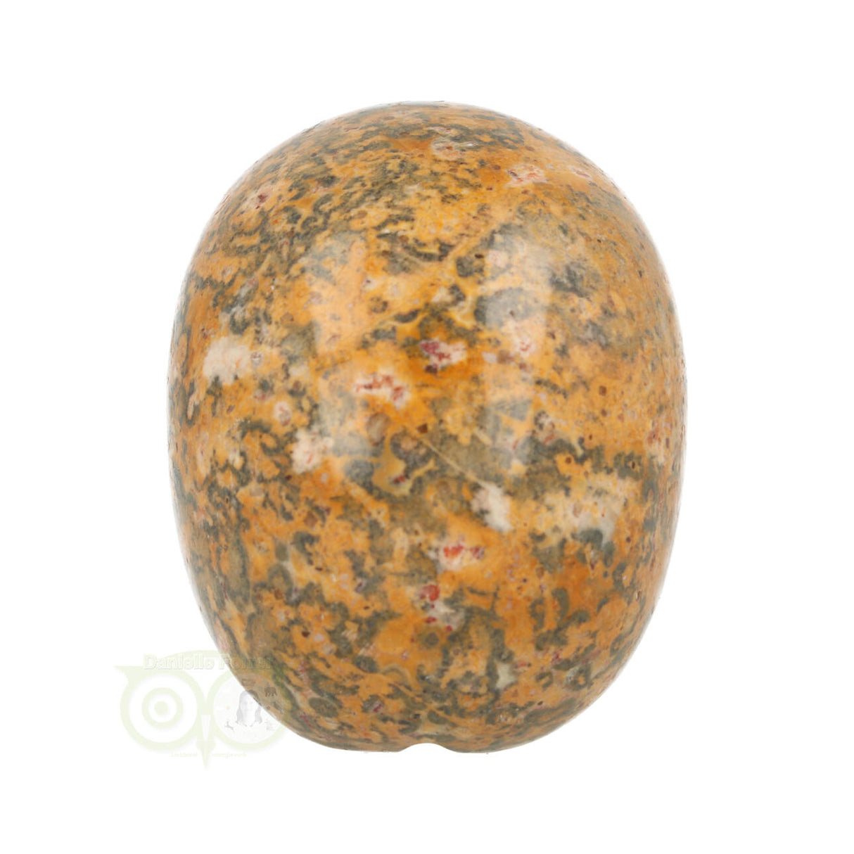 Jasper Breccia Skull 260 grams