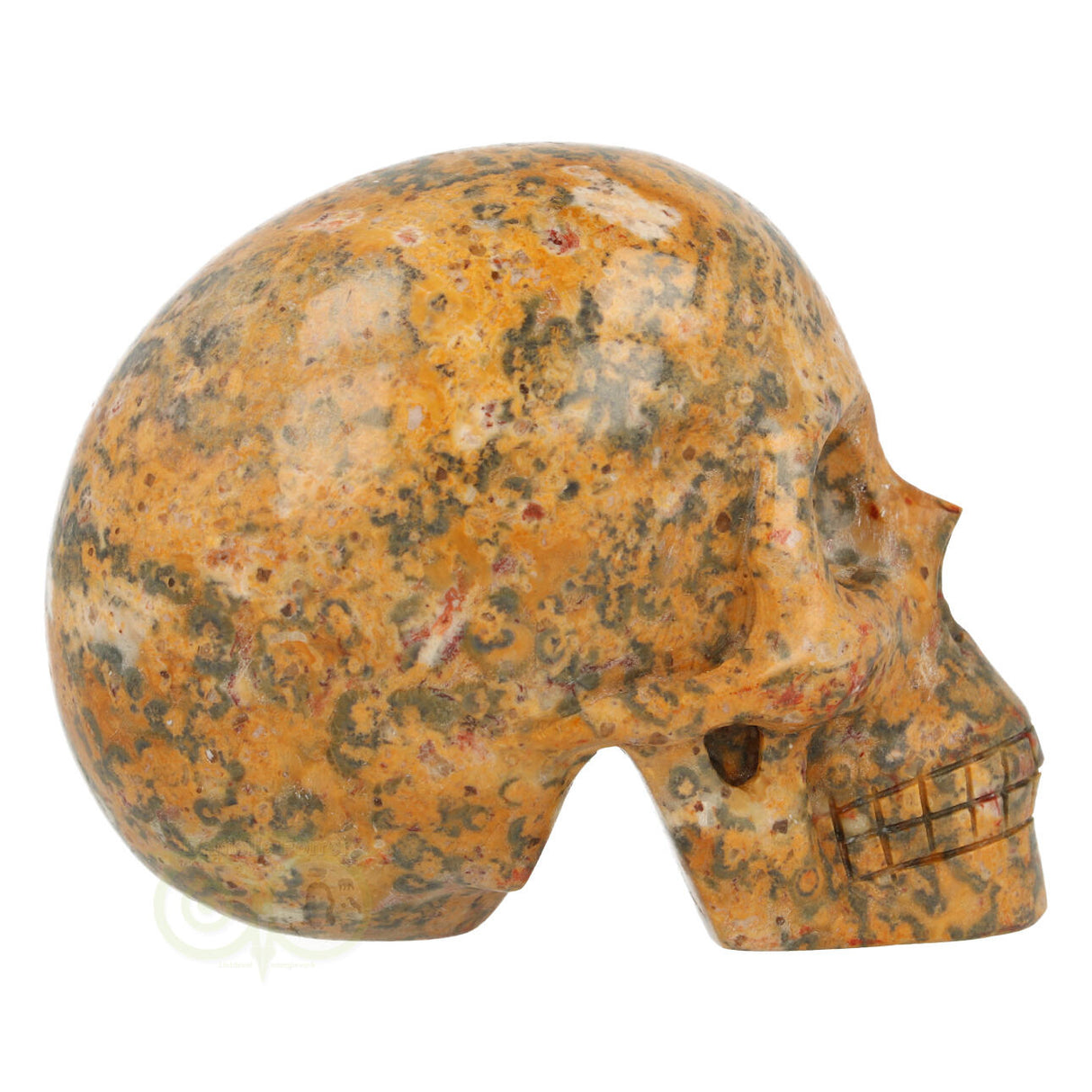 Jasper Breccia Skull 260 grams