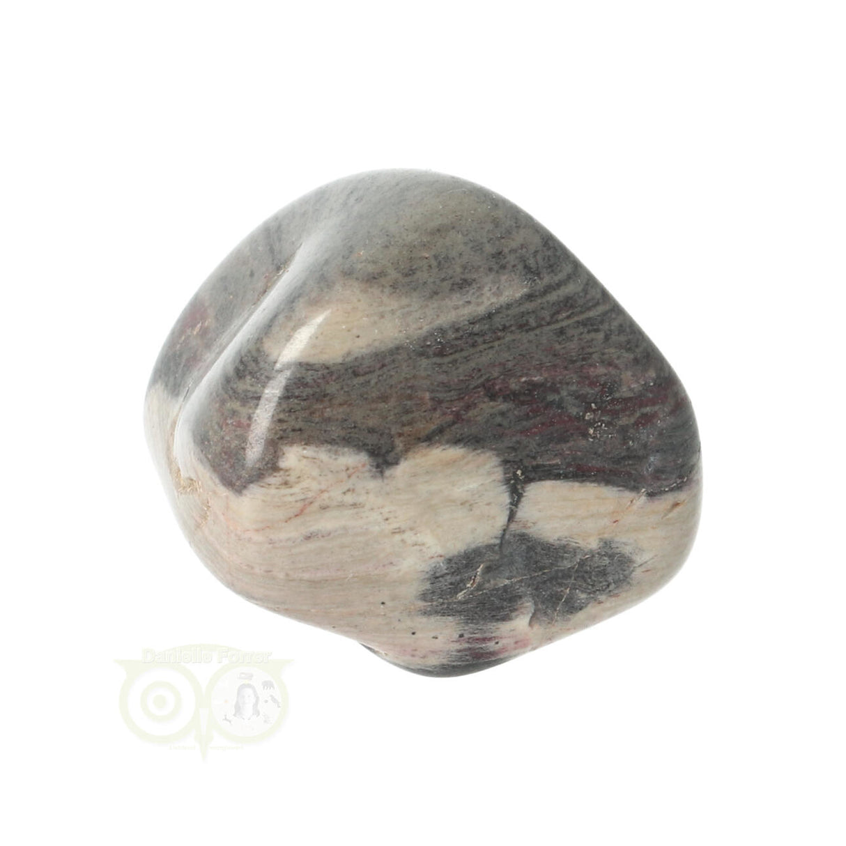 Jasper Silver Leaf Trommelstein Nr. 10