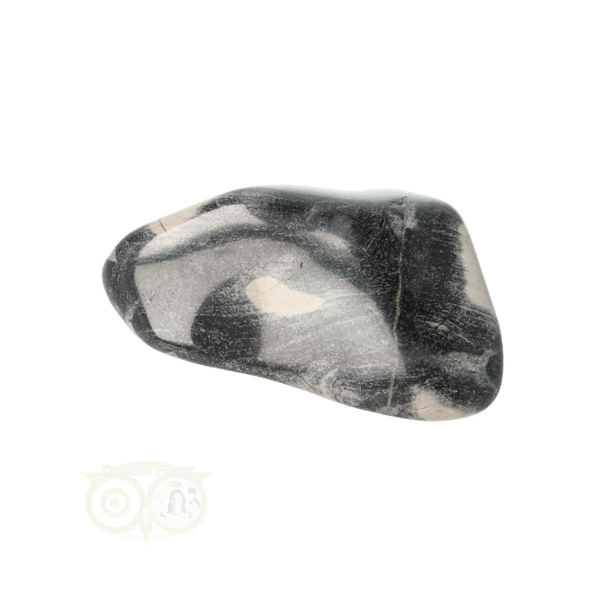 Jasper Silver Leaf Trommelstein Nr. 9