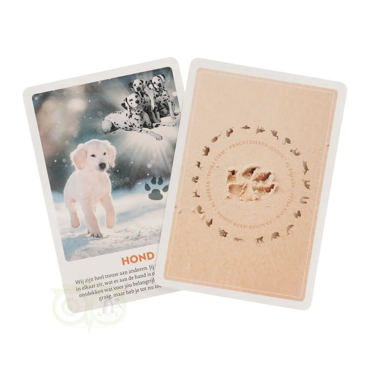 Kinder-Krachtdieren kaarten Junior - Petra Stam