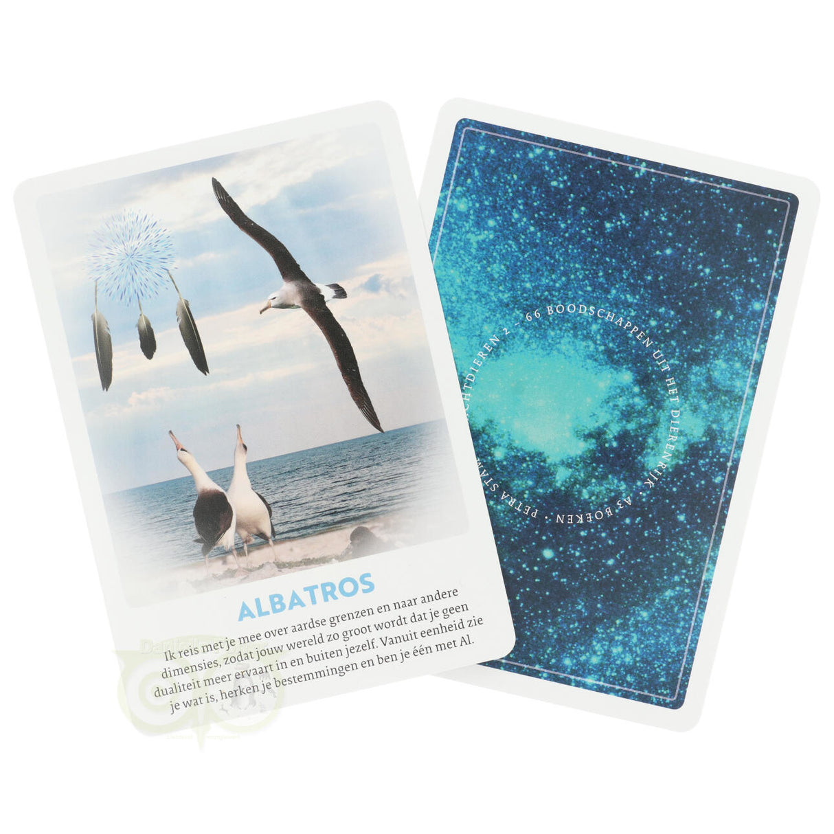 Krachtdieren kaarten 2 - Petra Stam