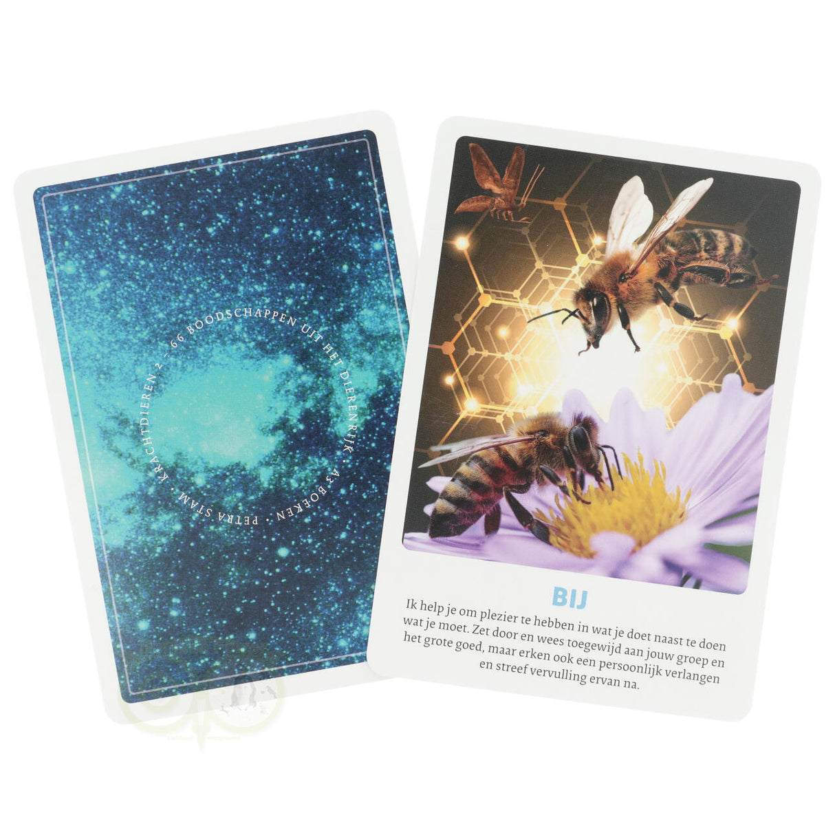 Krachtdieren kaarten 2 - Petra Stam