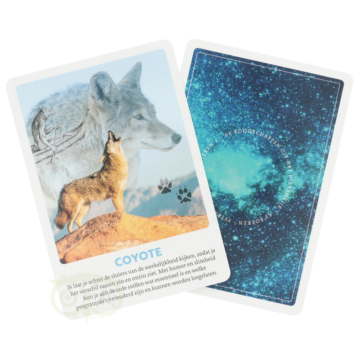 Krachtdieren kaarten 2 - Petra Stam