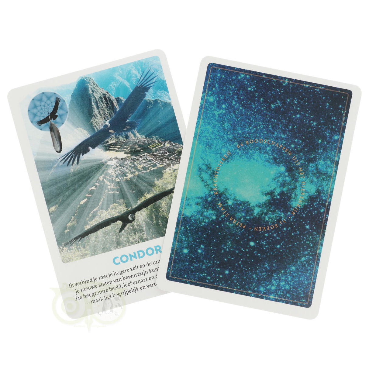 Krafttierkarten - Petra Stam