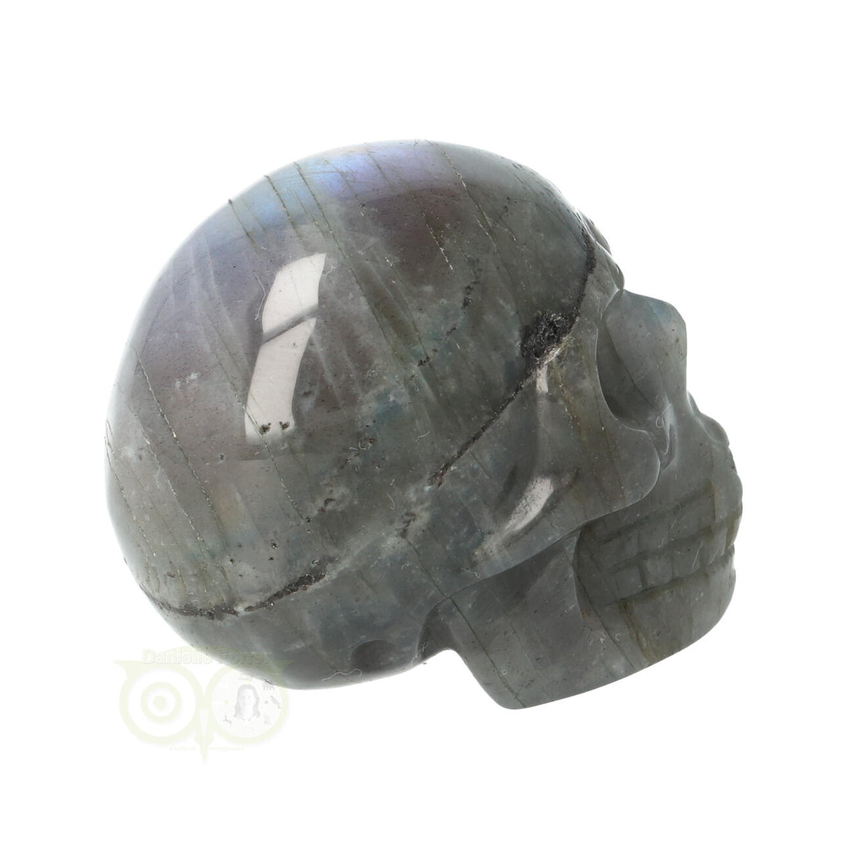 Labradoriet schedel Nr 12