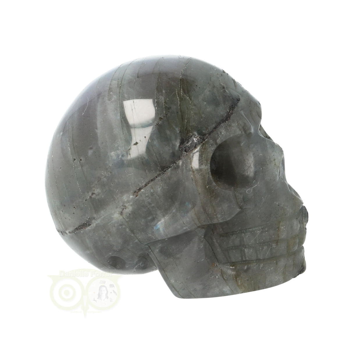 Labradoriet schedel Nr 12