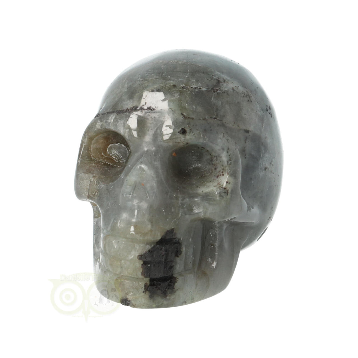 Labradoriet schedel Nr 12