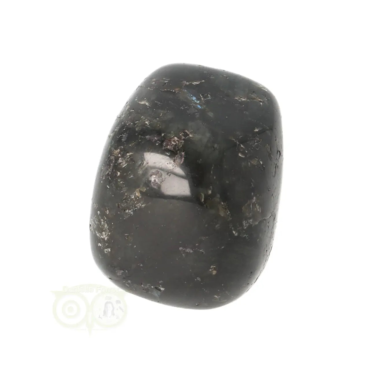 Larvikite tumbled stone No. 33