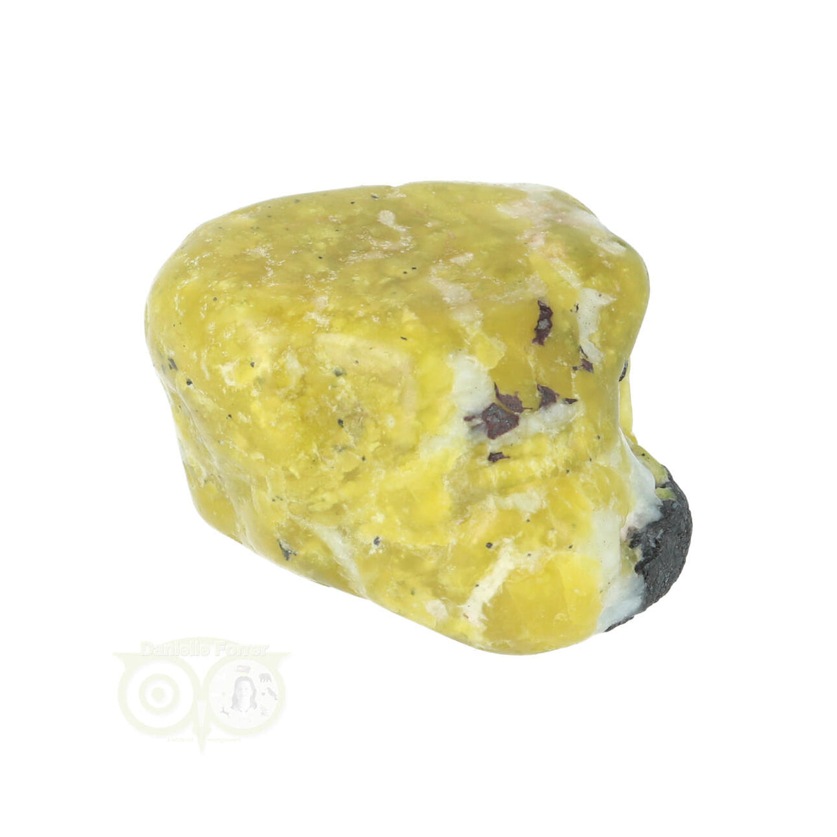 Lizardiet trommelsteen Nr 19